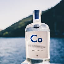 Garrafa de gin Co